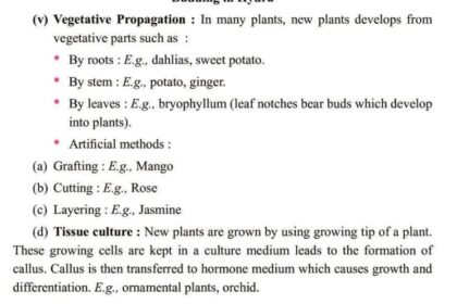 How Do Organisms Reproduce Class 10 Notes