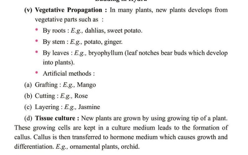 How Do Organisms Reproduce Class 10 Notes